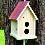 Build a birdhouse